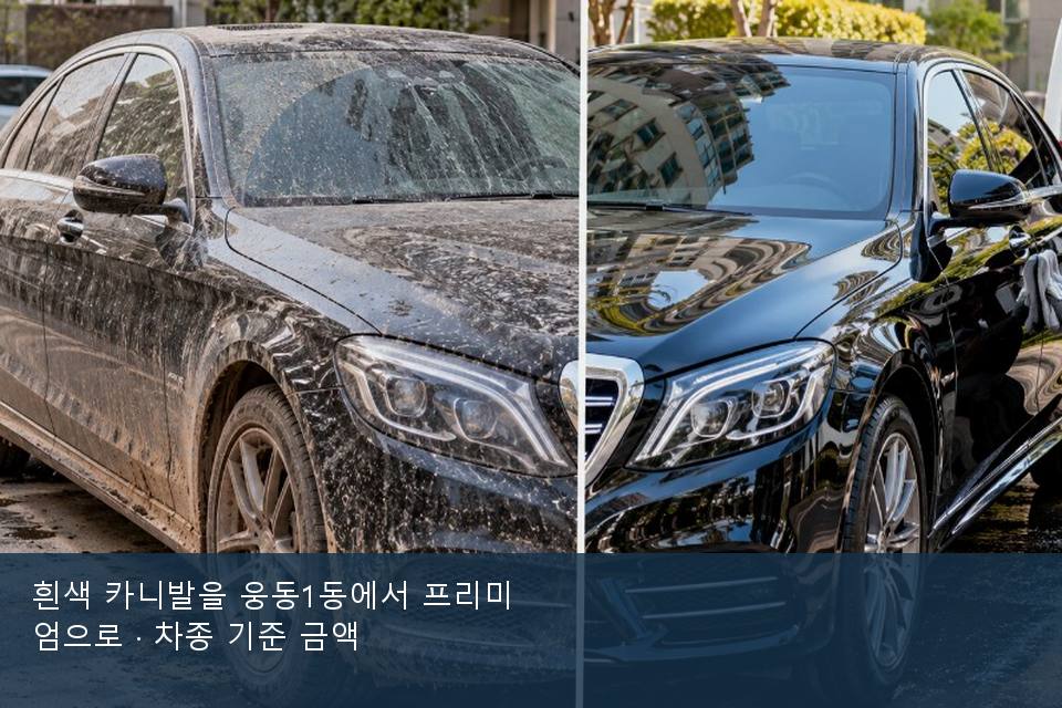 흰색 카니발을 웅동1동에서 프리미엄으로 · 차종 기준 금액